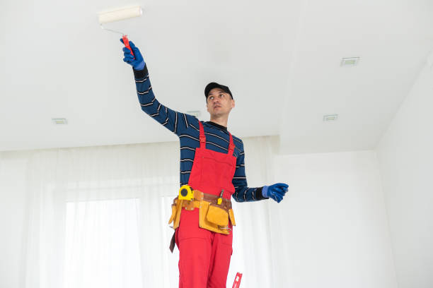 Best Drywall Removal and Disposal  in Glassboro, NJ